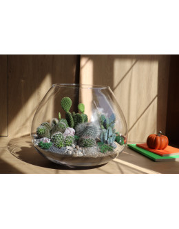 Флораріум з кактусами "Заповідник Теукан" 