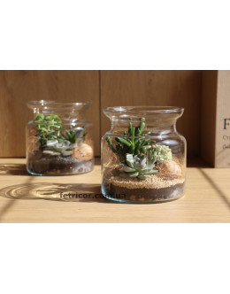 Флораріум в декоративній банці Мезозойська ера 15см х 15см