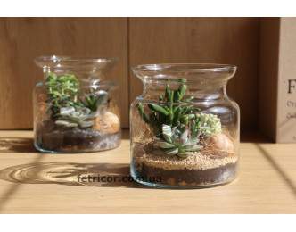 Флораріум в декоративній банці Мезозойська ера 15см х 15см
