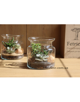 Флораріум з сукулентами Кайнозойська ера 15см х 15см