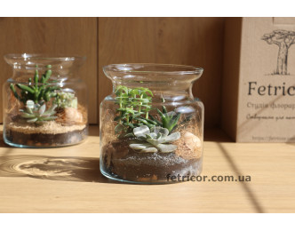 Флораріум з сукулентами Кайнозойська ера 15см х 15см