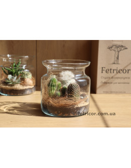 Флораріум в банці з кактусами Палеозойська ера 15см х 15см