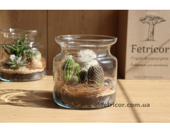 Флораріум в банці з кактусами Палеозойська ера 15см х 15см
