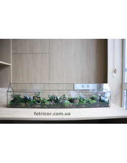 Флораріум з сукулентами Дім рослин 100см