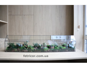 Флораріум з сукулентами Дім рослин 100см