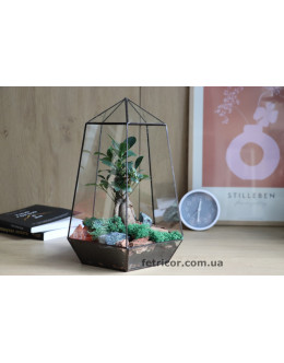 Флораріум з Фікусом (Бонсай) Архітектура