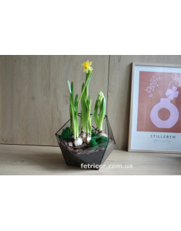 Флораріум з весняними квітами 