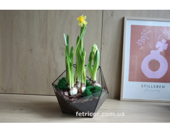 Флораріум з весняними квітами 