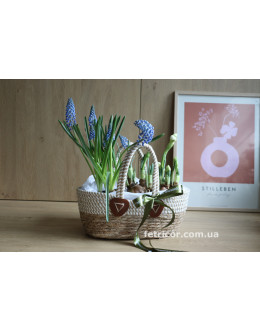 Кашпо з первоцвітами Подих весни