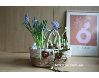 Кашпо з первоцвітами Подих весни