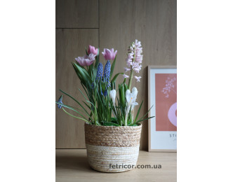 Весняне кашпо з первоцвітами