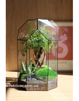 Флораріум з деревом бонсай Рослинна капсула 40см х 20см