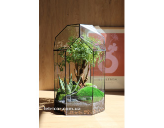 Флораріум з деревом бонсай Рослинна капсула 40см х 20см