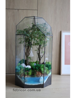 Флораріум з деревом бонсай Юрський період 50см х 35см