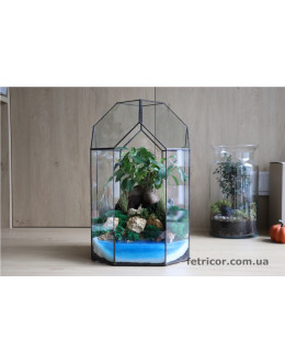 Флораріум з деревом Бонсай Подорож до мрії 40см х 25см