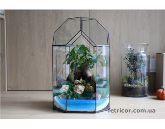 Флораріум з деревом Бонсай Подорож до мрії 40см х 25см