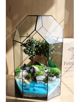 Флораріум з бонсаєм Дерева Афродіти