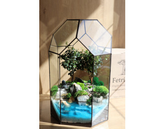 Флораріум з бонсаєм Дерева Афродіти