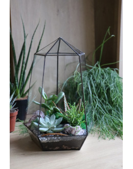 Флораріум з сукулентами Будинок дива 30cm х 20cm
