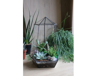 Флораріум з сукулентами Будинок дива 30cm х 20cm