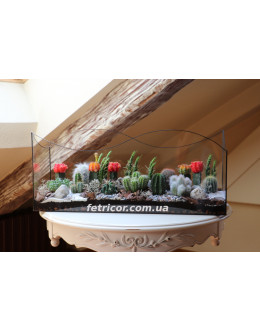 Флораріум з кактусами Cactusland 60см х 27см