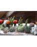 Флораріум з кактусами Cactusland 60см х 27см
