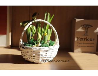Плетений кошик з первоцвітами 