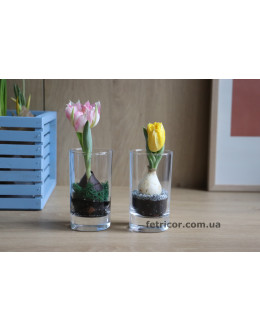 Декоративна скляночка з тюльпаном
