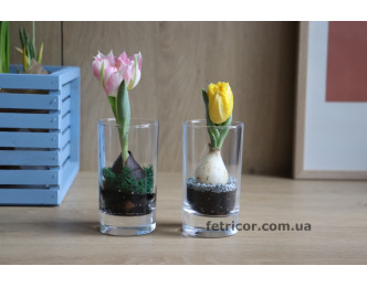 Декоративна скляночка з тюльпаном