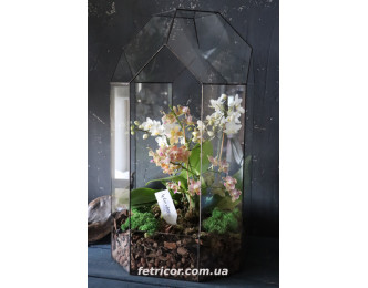 Флораріум з орхідеями "Paradise"