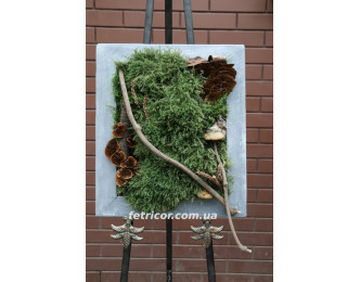 Картина зі стабілізованим мохом "Історія лісу" 
