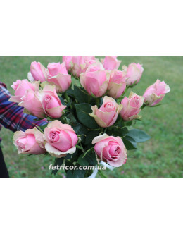 Букет з 19 троянд "Пинк Асена" 