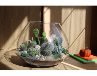 Флораріум з кактусами "Заповідник Теукан" 