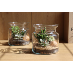 Флораріум в декоративній банці Мезозойська ера 15см х 15см
