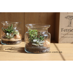 Флораріум з сукулентами Кайнозойська ера 15см х 15см