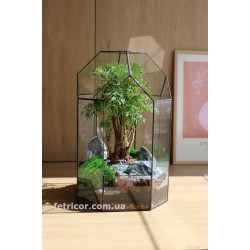 Флораріум з деревом Бонсай Капсула 40см х 20см
