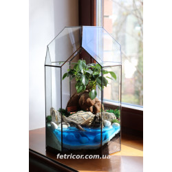 Флораріум з водоймою та фікусом (Бонсай) "Острів спокою"