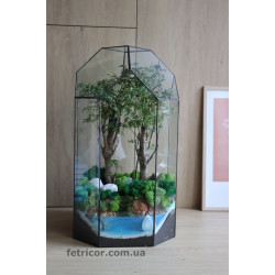 Флораріум з деревом бонсай Юрський період 50см х 35см