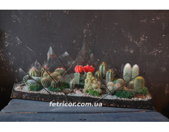 Флораріум "Унікальний світ кактусів"