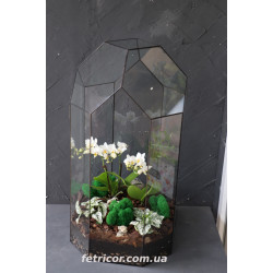 Флораріум з орхідеями "Величність" 
