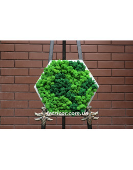 Картина зі стабілізованим мохом "Зелені соти"