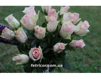 Букет з 19 троянд "Асена"