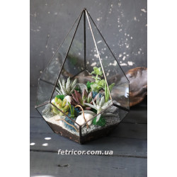 Флораріум з суккулентами Ботанічний сад