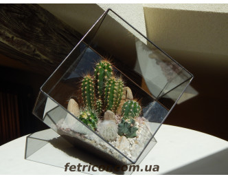 Флорариум "Долина кактусов"