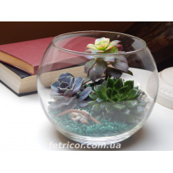Флораріум "Природній баланс"