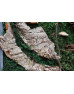 Картина зі стабілізованого моху "Норвезький ліс"